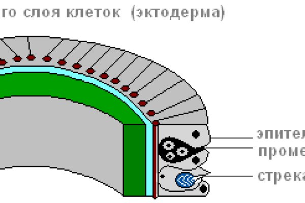 Кракен маркет плейс