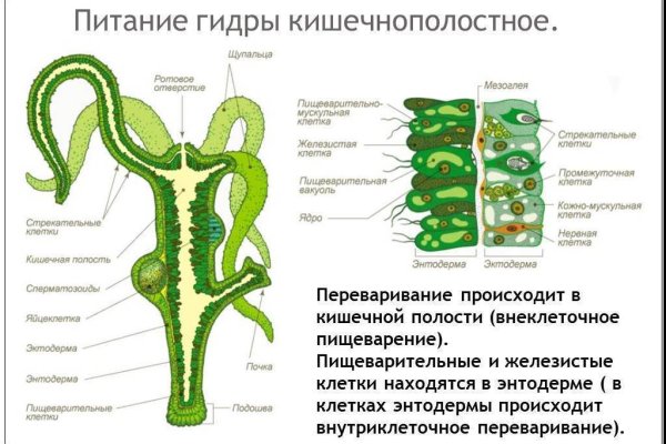 Кракен наркоз магазин