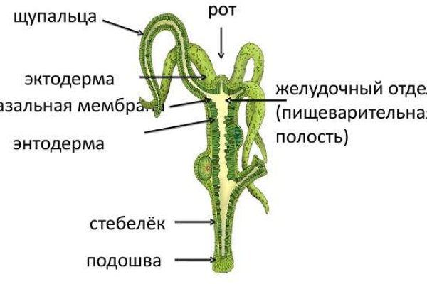 Что с кракеном сайт на сегодня